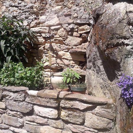 Gite Roc Suzadou Ferrals-les-Montagnes 外观 照片
